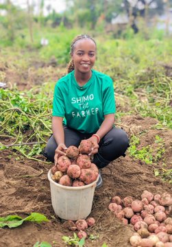 Gratitude is the best attitude! Celebrate the fruits of your labor with joy!