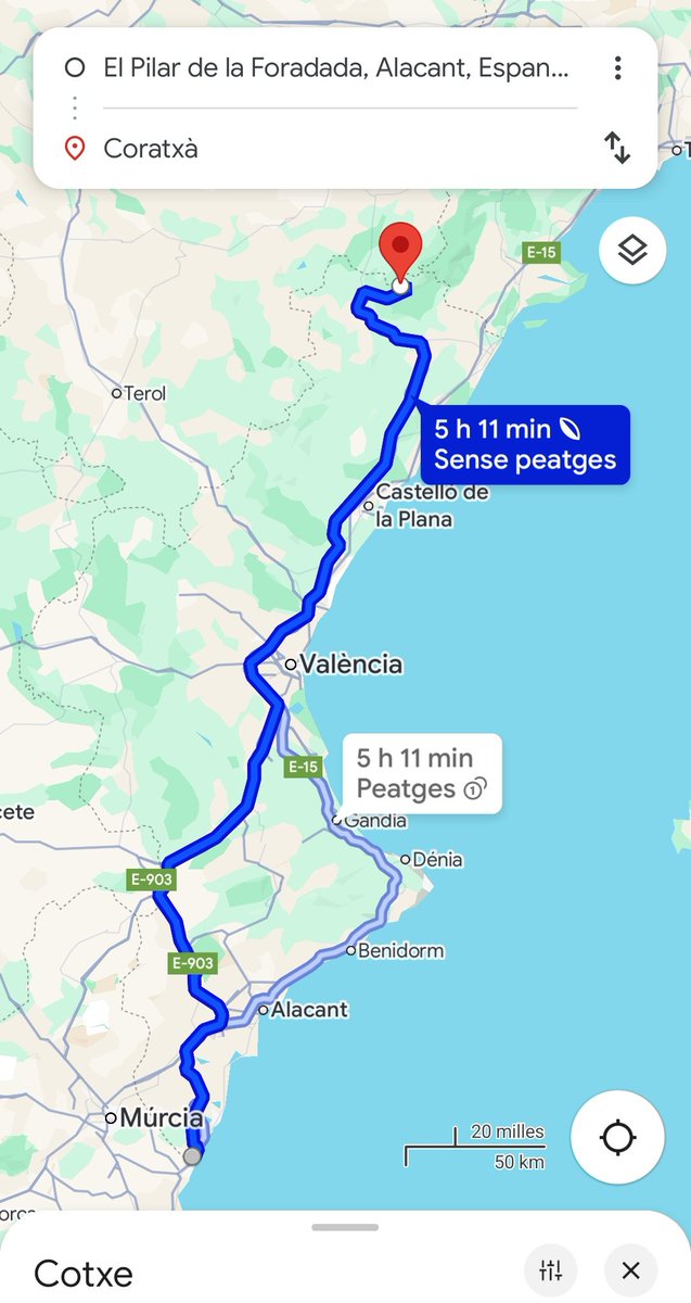 Àwa Pawnt Notwícies 🐾 (@miawbot_) on Twitter photo 