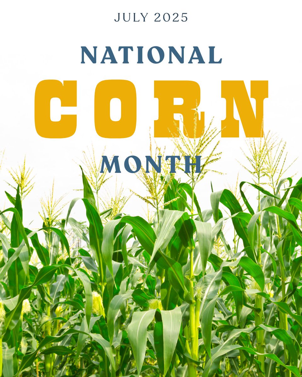 JerryMoran's tweet image. July is #NationalCornMonth! Did you know: Kansas corn growers on average plant 5.8 million acres per year, and rank 6th in the U.S. for corn production. Thank you, KS corn growers, for working tirelessly to feed and fuel the nation.🌽🌽