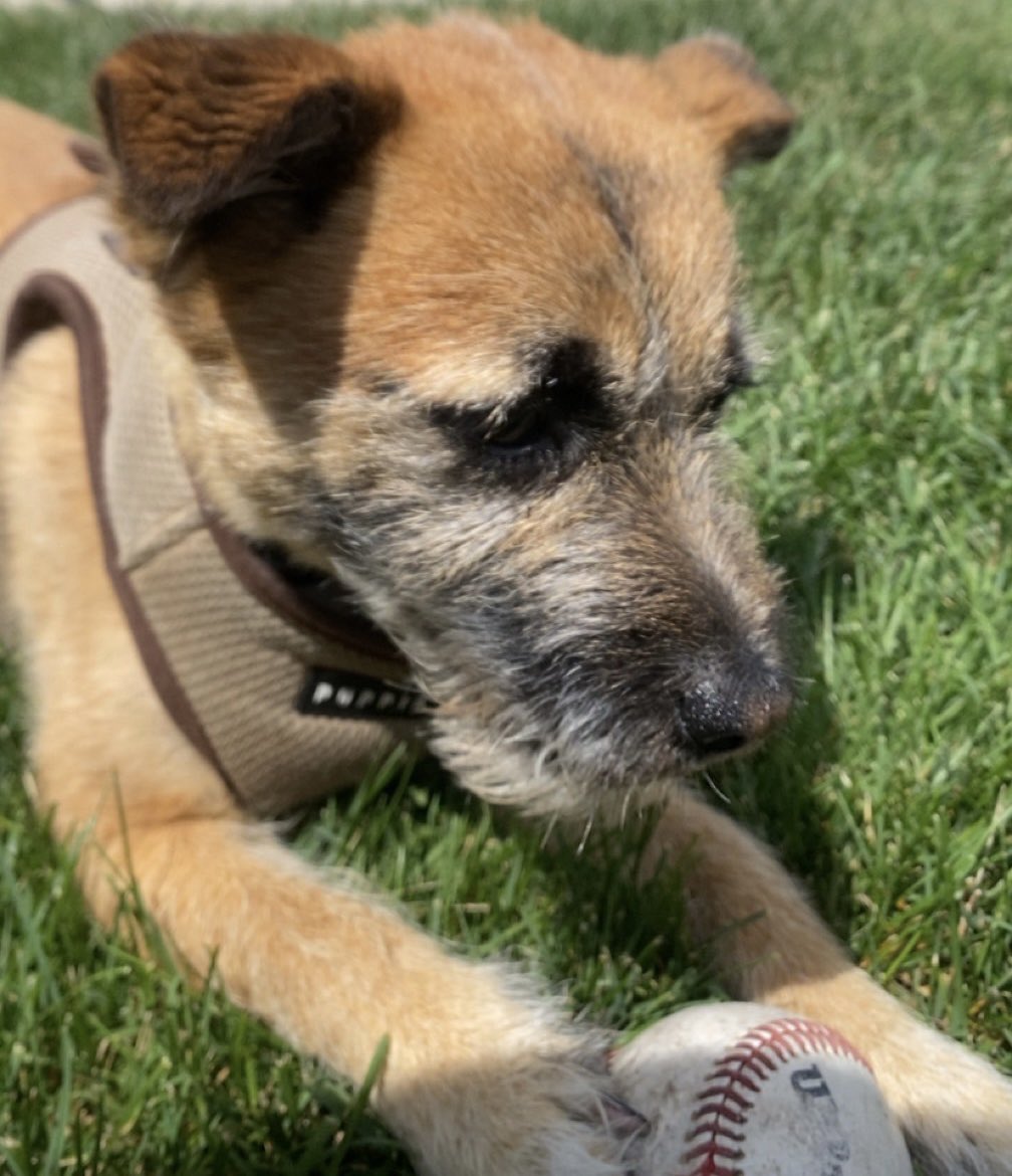 noteven.algo tweet media