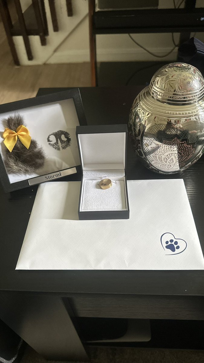 Been two months and everyday I “pet” your urn like your still here 😞 #Stormi #RIP