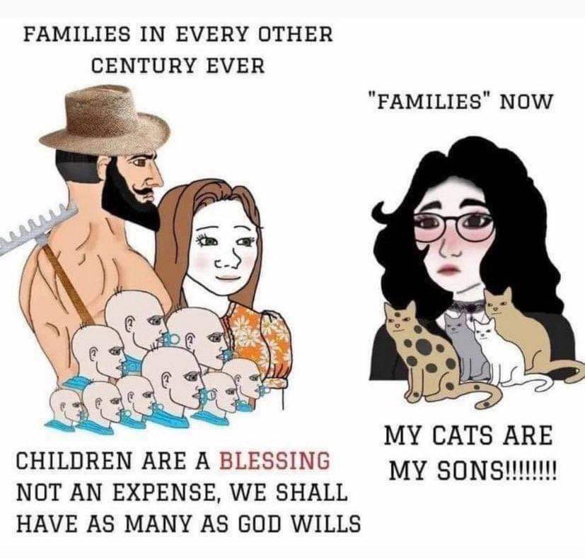 ShitpostGateway tweet media