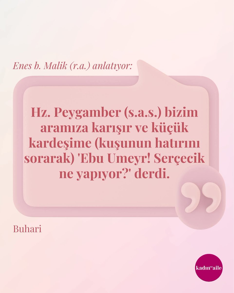 HADİS / Buhari

#kadınveaile #hadis #kuş #serçecik #çocuk #hatır #kardeş