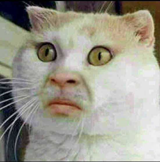 To succeed on Yapper, you need great power; otherwise, you'll just be used to boost others' influence.
Share your tips for gaining power! 
Comment with your suggestions for becoming powerful!"