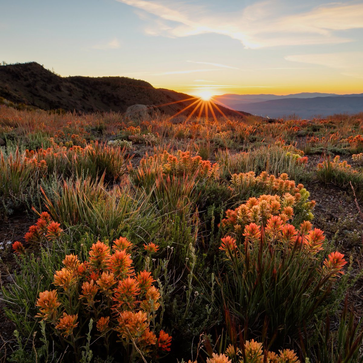 Interior's tweet image. Happy birthday, @BLMNational!
For 79 years, the Bureau of Land Management has helped steward the health, diversity and productivity of almost 250 million acres of public lands and ensured that all Americans can enjoy them for future generations.
Photo by Bob Wick