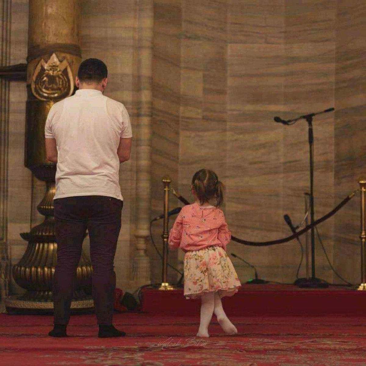 أ. مُحِب للجَمال. (@philocaaalist) on Twitter photo 