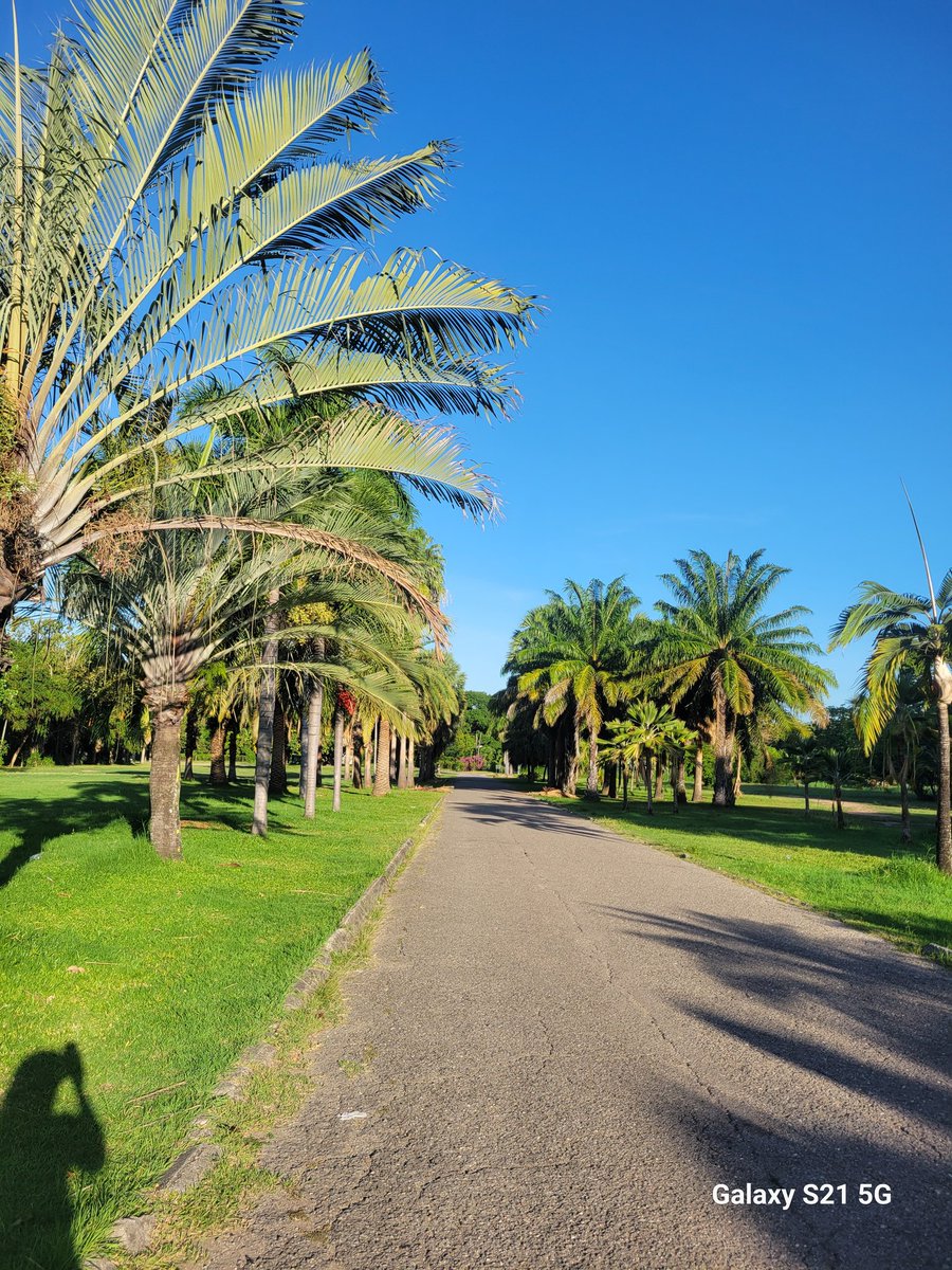 djmillerJA's tweet image. #TuesdayScenes