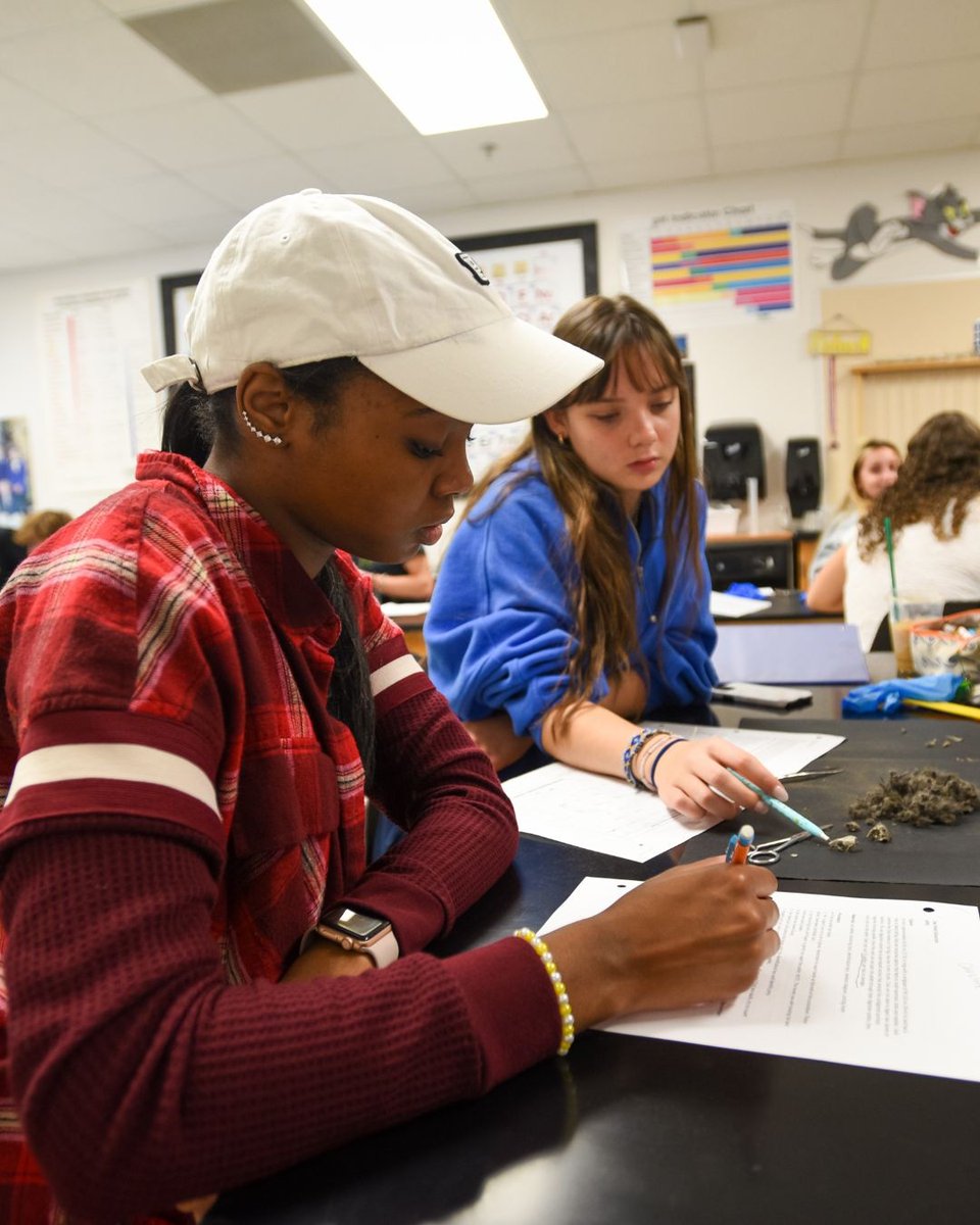 In Mrs. Wansley's AP Environmental Science class, students dissected owl pellets!🦉🔍️ This lab helped students explore food webs, predator-prey relationships, and the role owls play in ecosystems. Learning gets a little messy when you dig into real-world science! #davidsonday