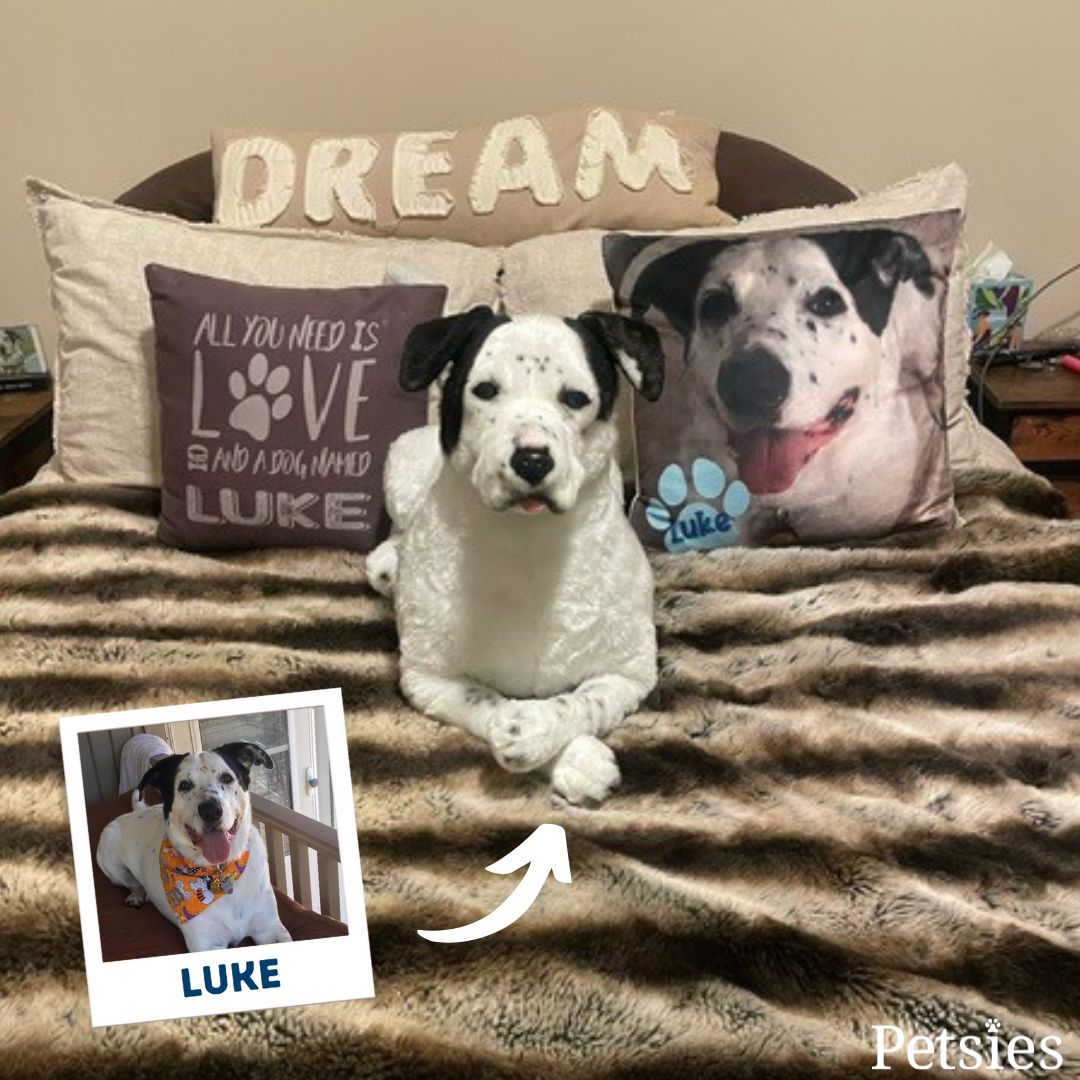 "I lost my soul dog, Luke last year &amp; it has been the worst loss I have ever experienced. My new plushie from Petsies looks so much like him that I sometimes do a double take when I see him lying on my bed. Thank you for making a treasured keepsake that I will love forever!" 💙🐾