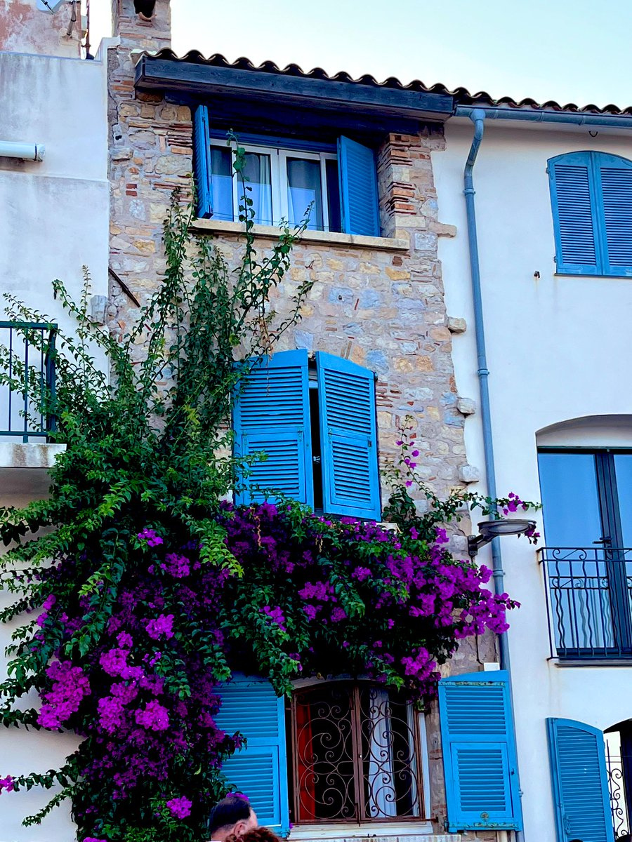 Daisyjoy_13's tweet photo. Summer in Europe https://t.co/FSAyDsrryw