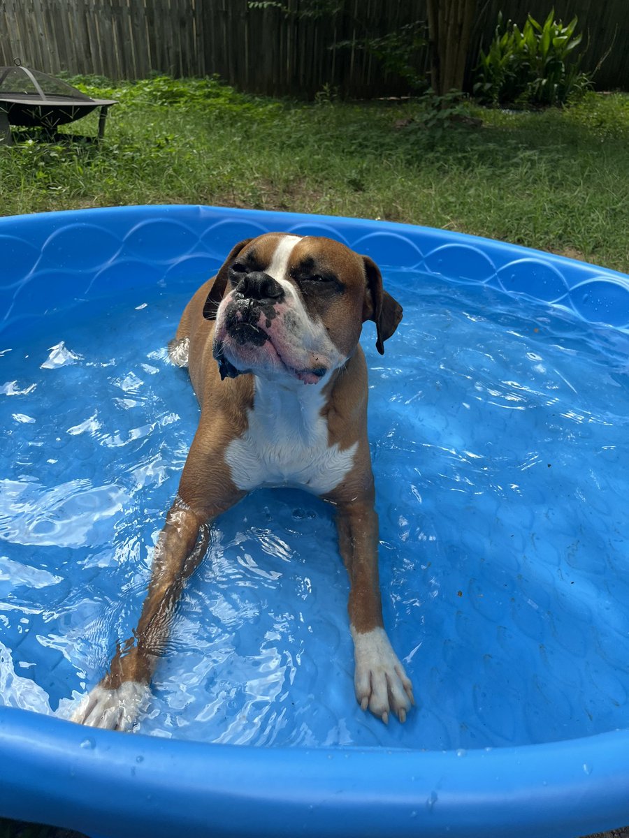 everyone stop rn to tell Goose his pool is very cool