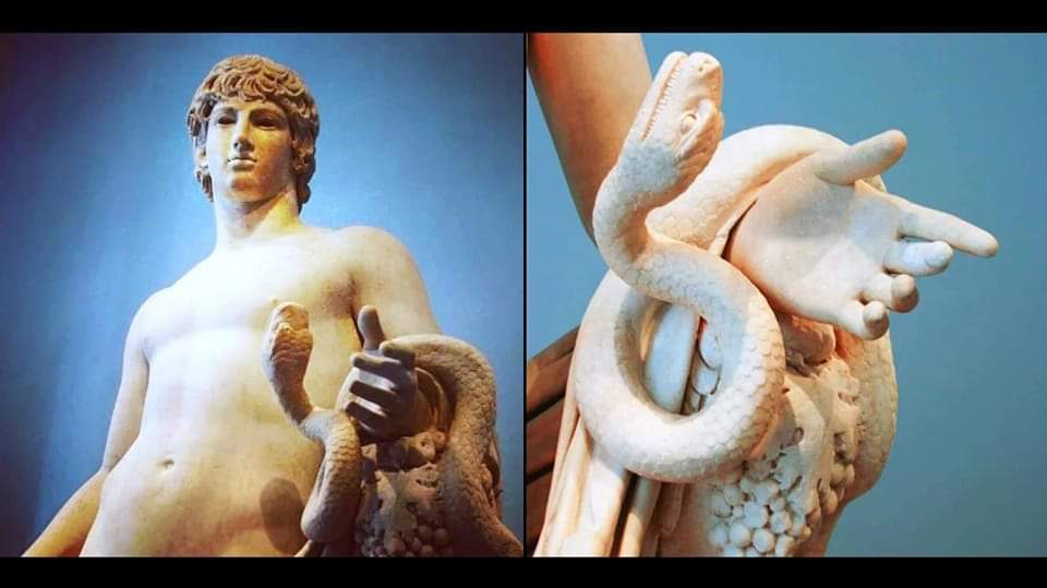 antinousgaygod's tweet image. 🪷🐍  16 July is #WorldSnakeDay ... This is Antinous #Agathodaimon (Blessed Spirit) at Berlin #AltesMuseum. A beneficent apotropaic serpent emerges from a cornucopia to gaze up adoringly at #Antinous, and who can blame the snake? The face originally had inlaid gemstone eyes! 🐍🪷