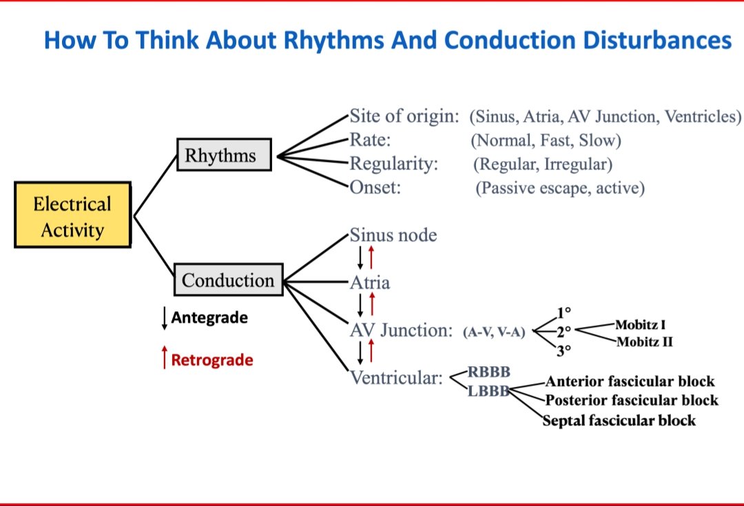 How to think about the rhythms and conductions disturbances