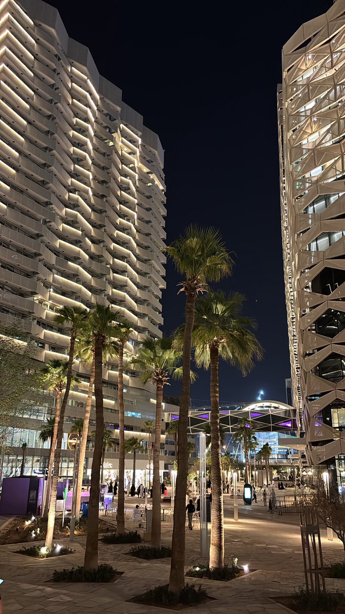 ما ارق الرياض تالي الليل