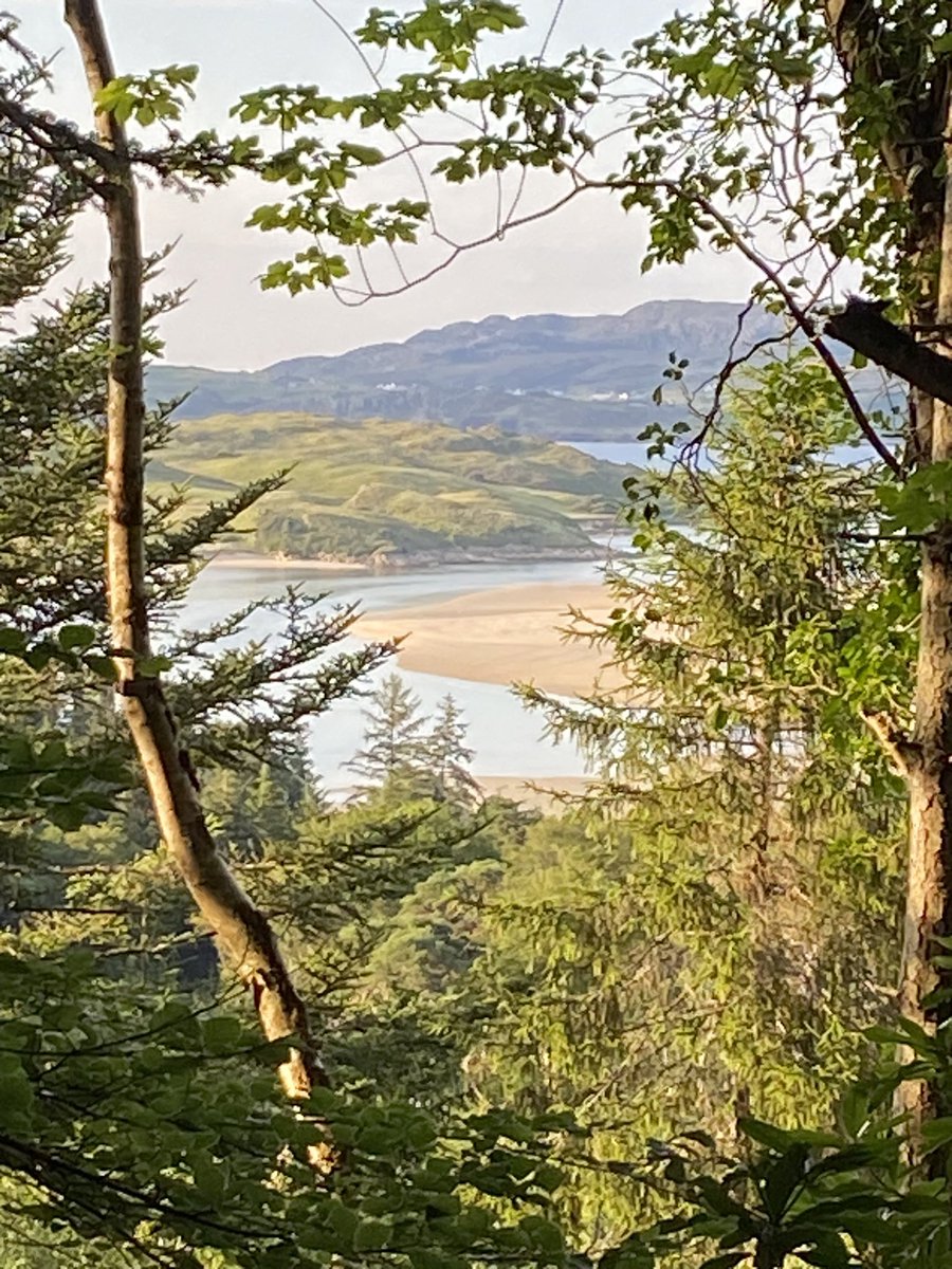Some evening Ards forest park Donegal