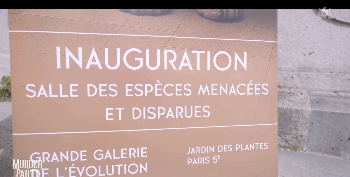 LaNouvelleTV tweet media