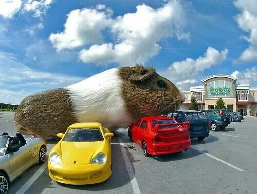 Since I'm alive, I will try to continue living, and not limit myself to existing