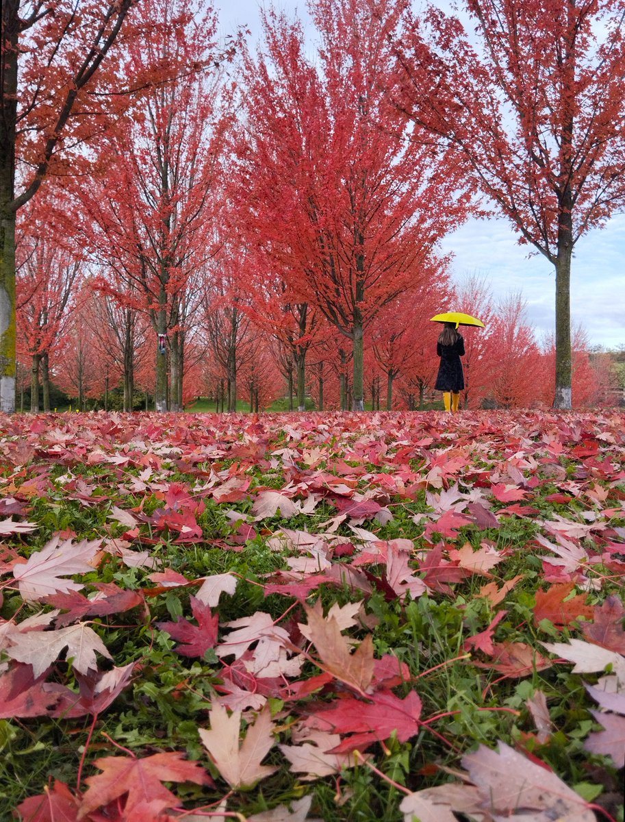 Para animar un poco el verano voy a sortear una foto mía impresa en 30x40 a toda persona que me siga y que le de Fav y Repost a esta publicación. Podrá elegir entre estas fotos que os pongo. Haré el sorteo el domingo a eso de las 22 .¡Gracias y suerte!