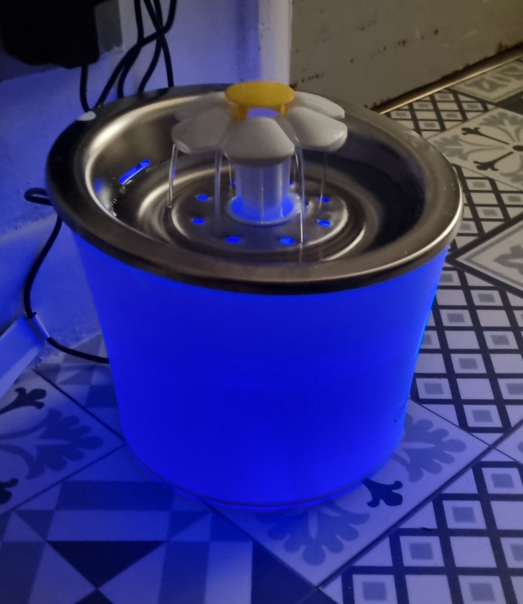 ElizaSspencer's tweet photo. New water fountain for the cats,   not sure if Lucifur is shocked or impressed it glows. #girlcat #gingercats #catit https://t.co/DXJnsybYHa