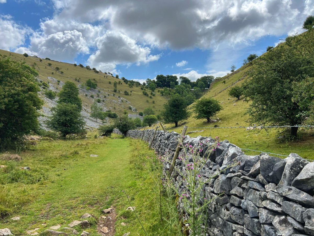 KateSLWood's tweet image. Hiking through the Derbyshire Dales ~ this one is Biggin Dale on the edge of Buxton 💚
