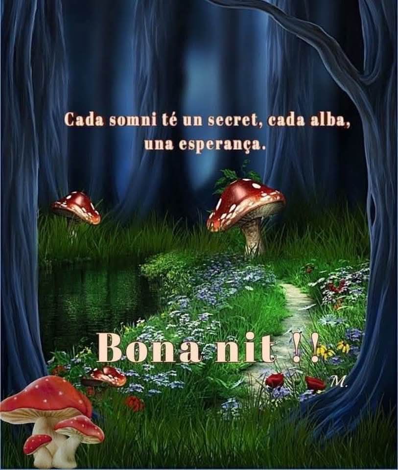 Bon descans ! 🌜💜😴