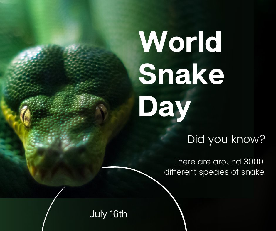 RPerkinsRealtor's tweet photo. Today is World Snake Day!

🐍🌿 Embrace the beauty of snakes on this special day dedicated to their conservation! 

Snakes are essential for maintaining a balanced environment, controlling pests, and preserving biodiversity. It's time to appreciate their unique https://t.co/IDT8dxRaL7
