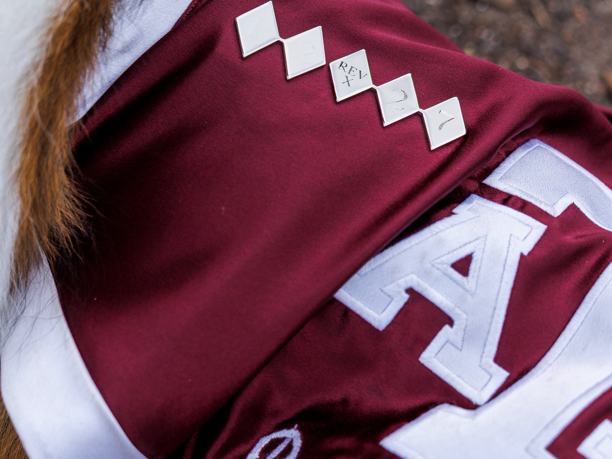 reveille's tweet image. Ags, did you know that my blanket is my uniform I wear to represent the @AggieCorps, as well as Texas A&M? My blanket isn't just comfy, but also serves the purpose of displaying my rank of five diamonds, making me the highest ranking member of the Corps! How cool is that?