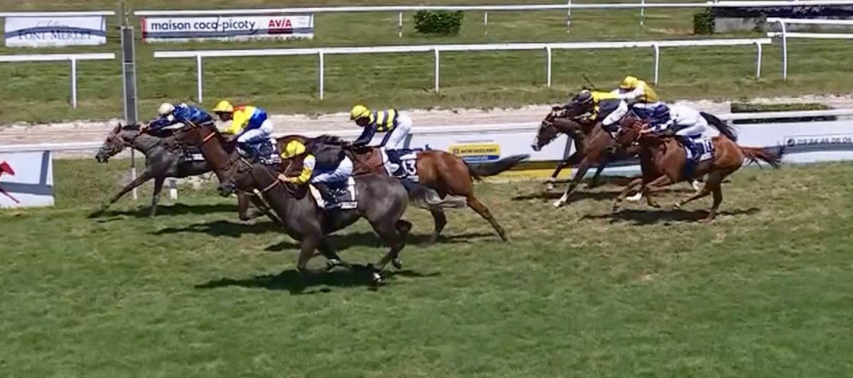 Arizkorreta Racing (@arizkorretar) on Twitter photo ✅ Buen segundo puesto 🥈 de YOGUI (Al Wukair) en un maiden en <a href="/Mont_de_Marsan/">Hippodrome de Mont-de-Marsan</a> 🇫🇷, con la monta de Alejandro Gutiérrez Val. El potro de la #YeguadaAGF respondió al reto de subir de 1.800 a 2.450 metros. 👍🏼
#CuadradeArizkorreta ✅ Buen segundo puesto 🥈 de YOGUI (Al Wukair) en un maiden en <a href="/Mont_de_Marsan/">Hippodrome de Mont-de-Marsan</a> 🇫🇷, con la monta de Alejandro Gutiérrez Val. El potro de la #YeguadaAGF respondió al reto de subir de 1.800 a 2.450 metros. 👍🏼
#CuadradeArizkorreta