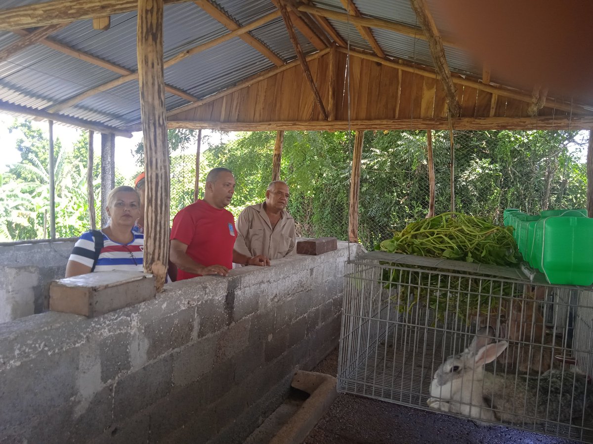 Con la participación de nuestros campesinos seguimos buscando alternativas en la producción de alimentos #contramasestre #SantiagoDeCuba