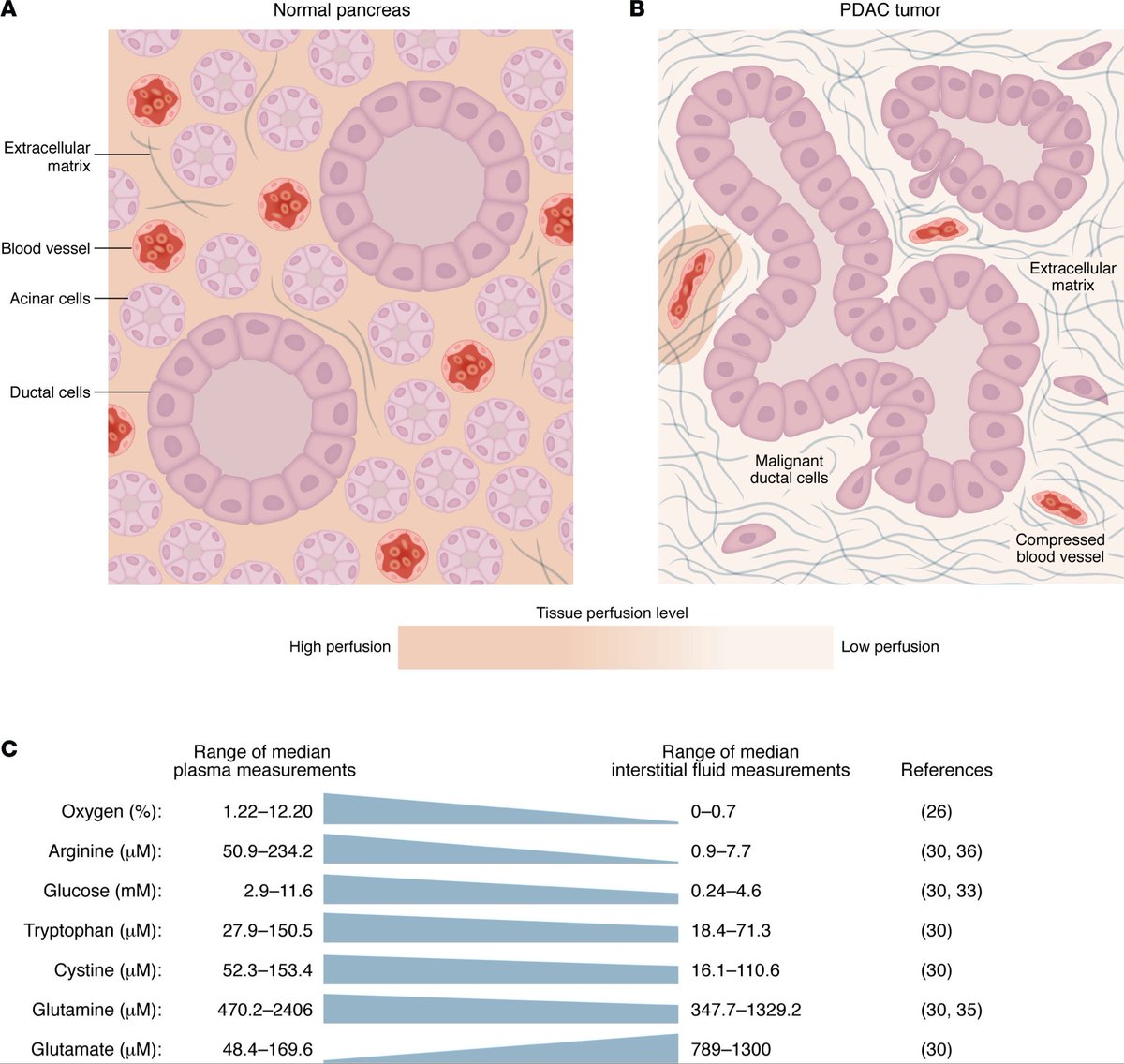 Anirban Maitra tweet media