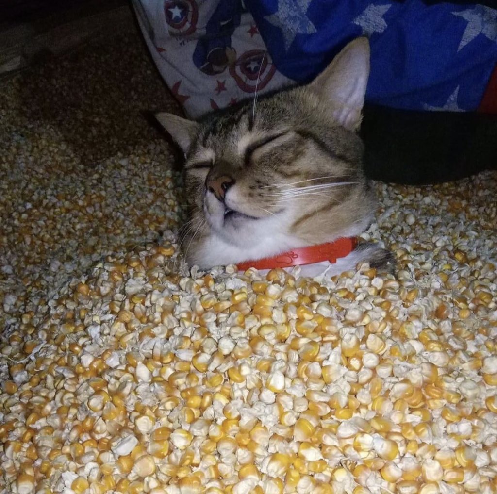 He will be turned into popcorn soon alhamdulillah