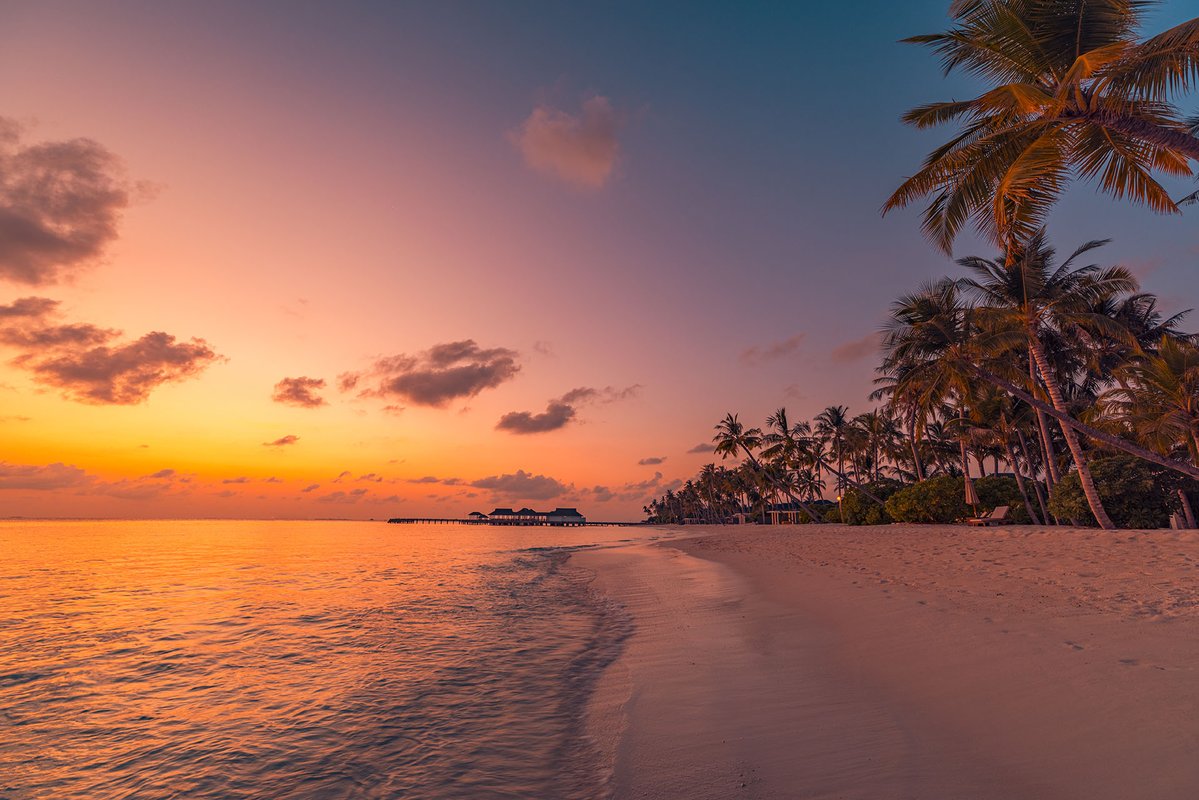 CanonUSA's tweet image. This and a photoshoot>>> 🌅 📸 ✨
📸 #Canon EOS R5
Lens: RF15-35mm F2.8 L IS USM
Image Source: @GettyImages