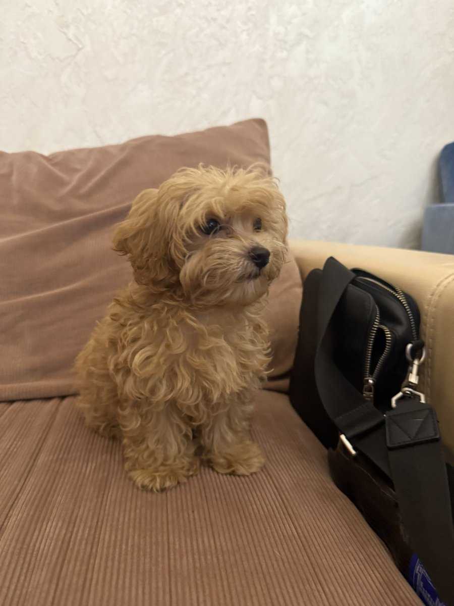 Джміляра (@tolocenko21411o) on Twitter photo Дай Бог мені терпіння)) Наважився Дай Бог мені терпіння)) Наважився