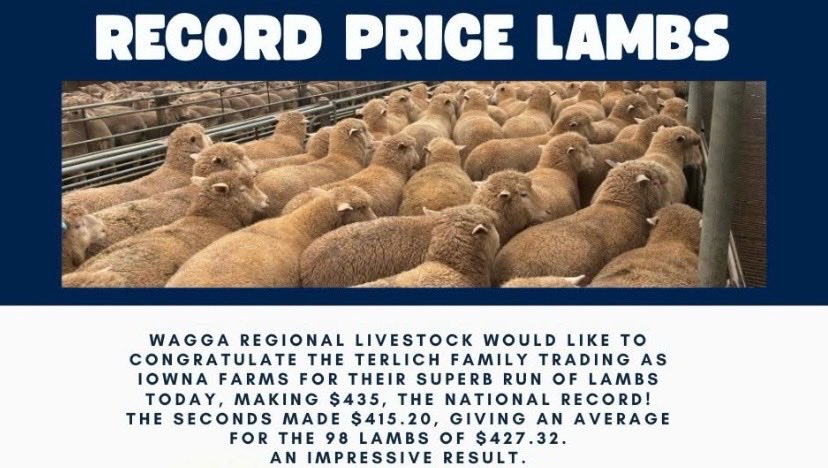 Congratulations to long term clients the Terlich family on this outstanding result. What’s make this more impress is these lambs were 1stX out of Merino EWE LAMBS. If you’re off to Bendigo over the next few days drop in and see us to discuss Trigger Vale’s game changing genetics.