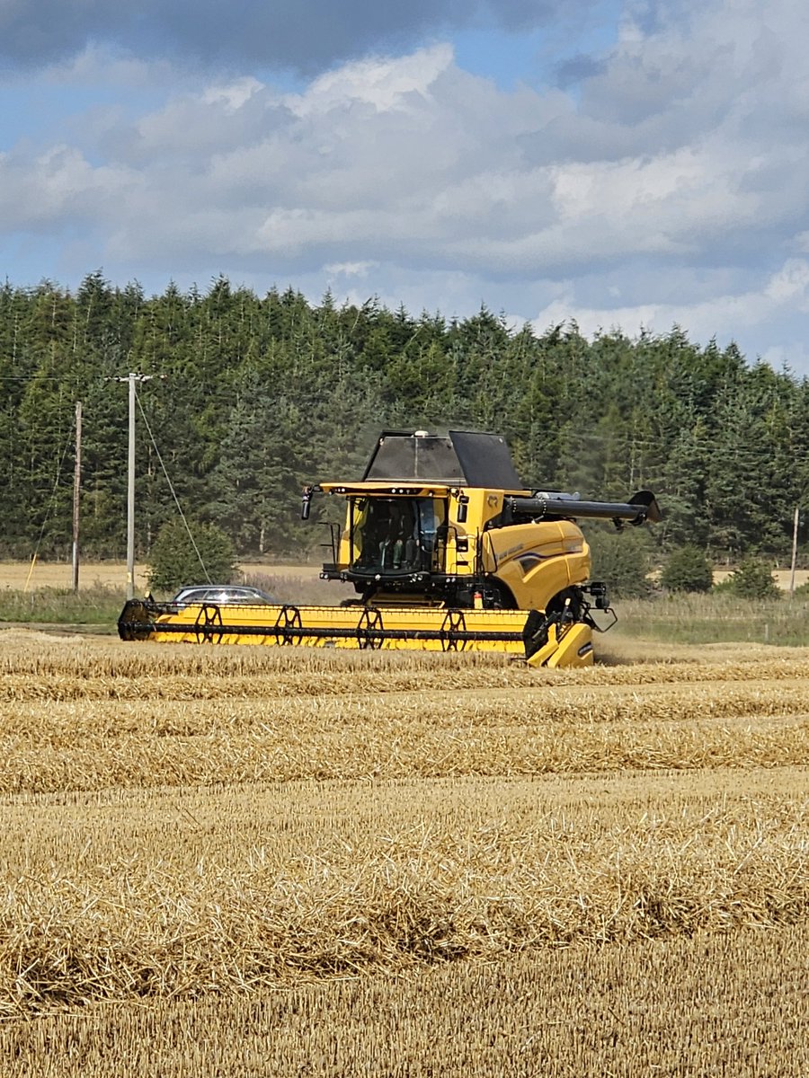 One of my favourite times in the farming calendar 📅  Starting harvest #harvest25