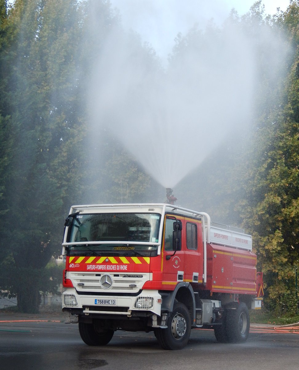 TeamBestioles tweet media