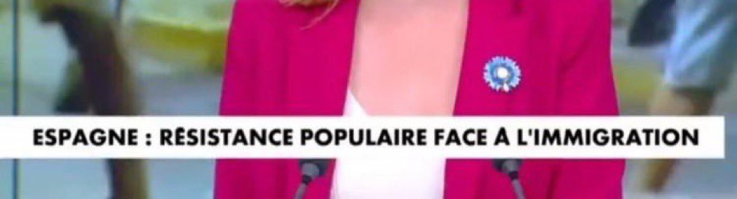 Voilà comment on parle de ratonnades racistes sur <a href="/CNEWS/">CNEWS</a> : « résistance populaire face à l’immigration ».
Cette chaîne doit fermer.