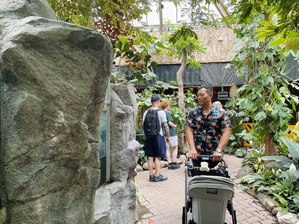 StanChoMPP's tweet image. Great visit to the Toronto Zoo today — a world-class centre for education and conservation that attracts well over a million visitors every year.
Inspiring, entertaining, informative, and fun for the whole family! 🐻❄️🦦🙌