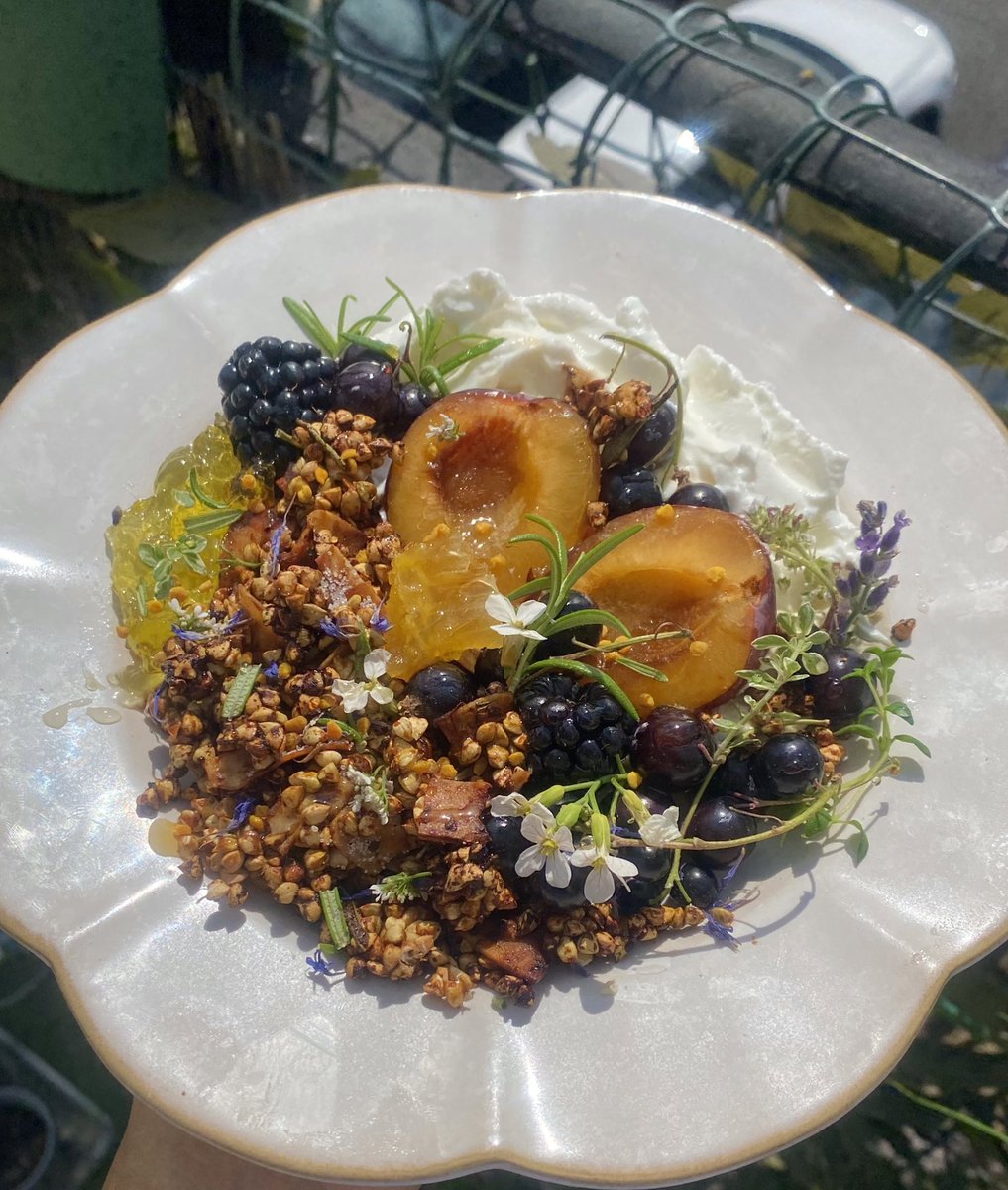 crystallisedfig's tweet image. Miso maple sprouted buckwheat granola on Greek yoghurt with a plum, blackcurrants, blackberries, and lime marmalade