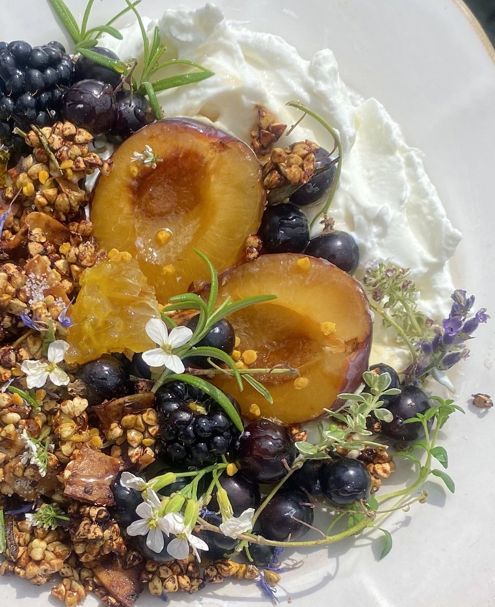crystallisedfig's tweet image. Miso maple sprouted buckwheat granola on Greek yoghurt with a plum, blackcurrants, blackberries, and lime marmalade