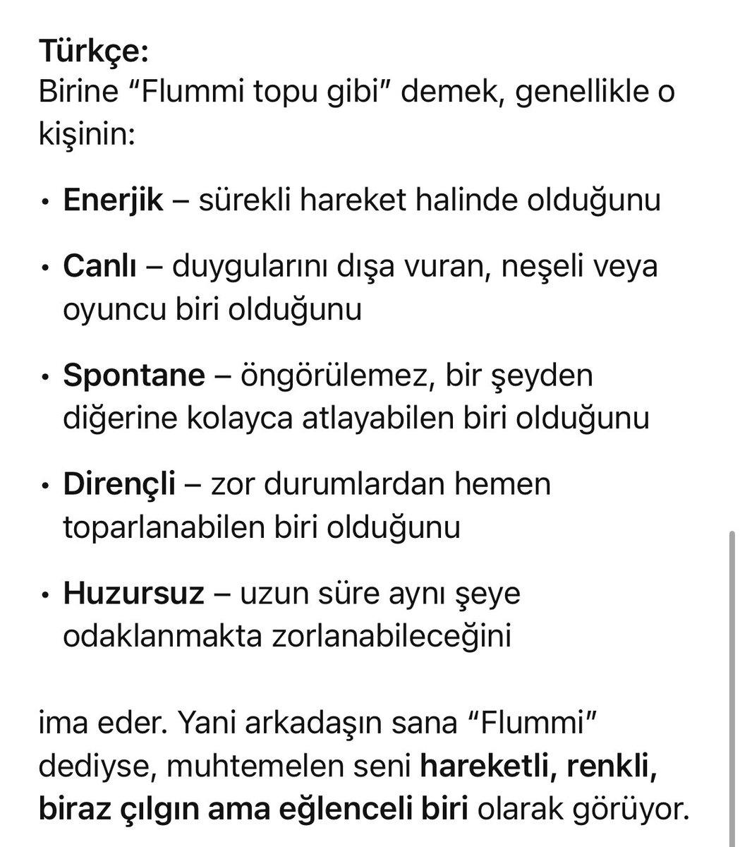 Alman is arkadasim bana FLUMMI BALL dedi bu anlama geliyomus