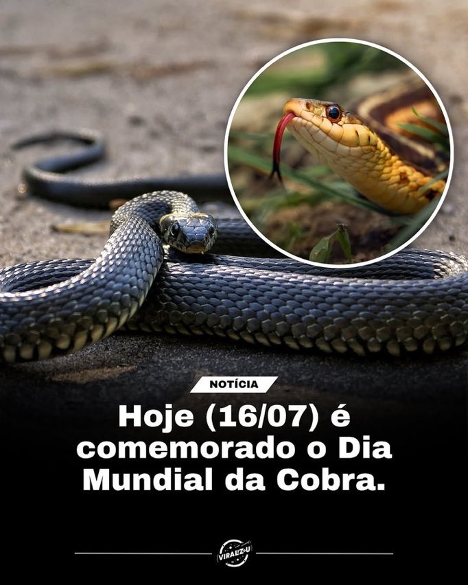 Feliz dia da sogra! 🎉🎉🎉🎉🎉🎉🎉🎉