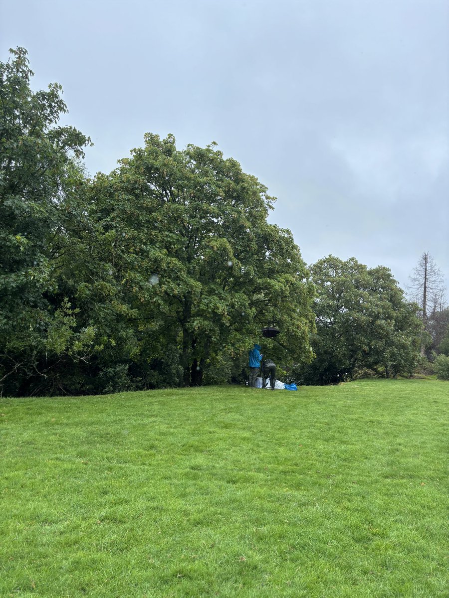 Day two: full audience of swans and pouring rain. 🦢☔️

#freshwater #eDNA