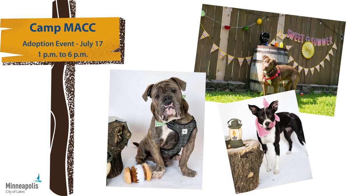 Staff at Minneapolis Animal Care and Control are dreaming of all things tents, s'mores and campfires. It's summer camp time at MACC! 

Visit "Camp MACC" on Thursday to bring your fur-ever friend home. All adoption fees are waived for this special event.