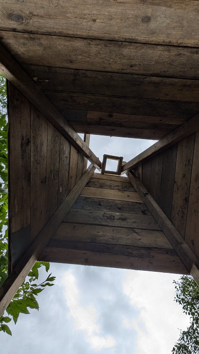 Wild Bears Forest School CIC tweet media