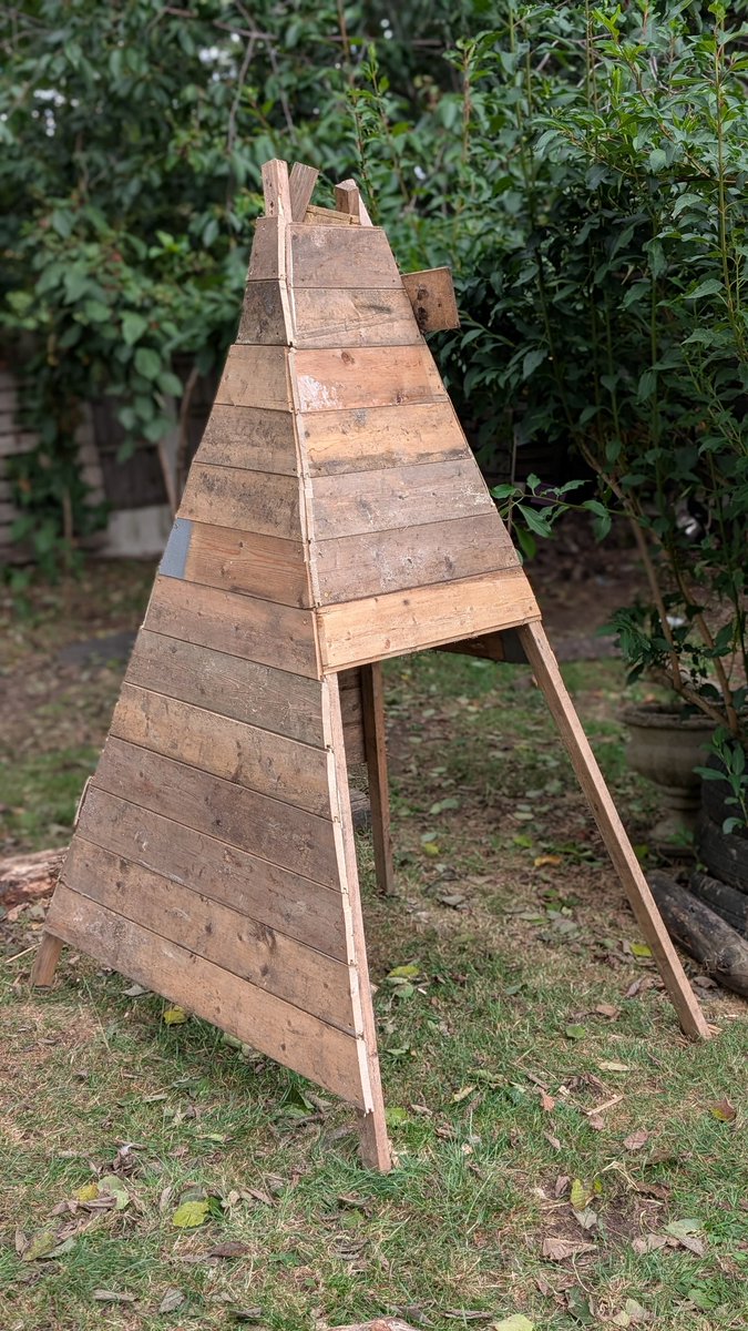 Wild Bears Forest School CIC tweet media