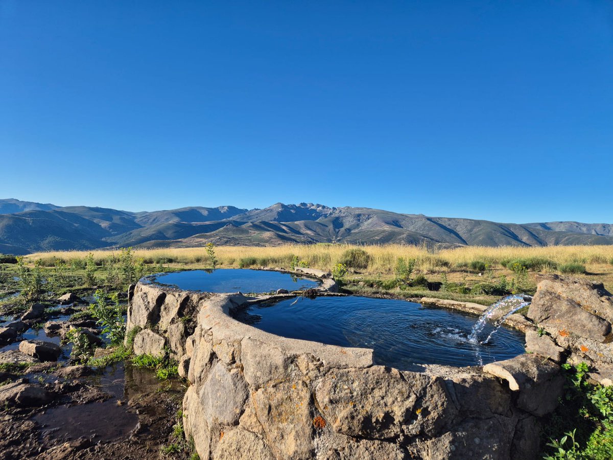 🚨 Información de la carrera 🚨

Hola! Ya tenéis disponible en nuestra página web la información de las clasificaciones, la galería de fotos de nuestras carreras, y un vídeo resumen en Youtube. 

Info en: crossdelospastores.com