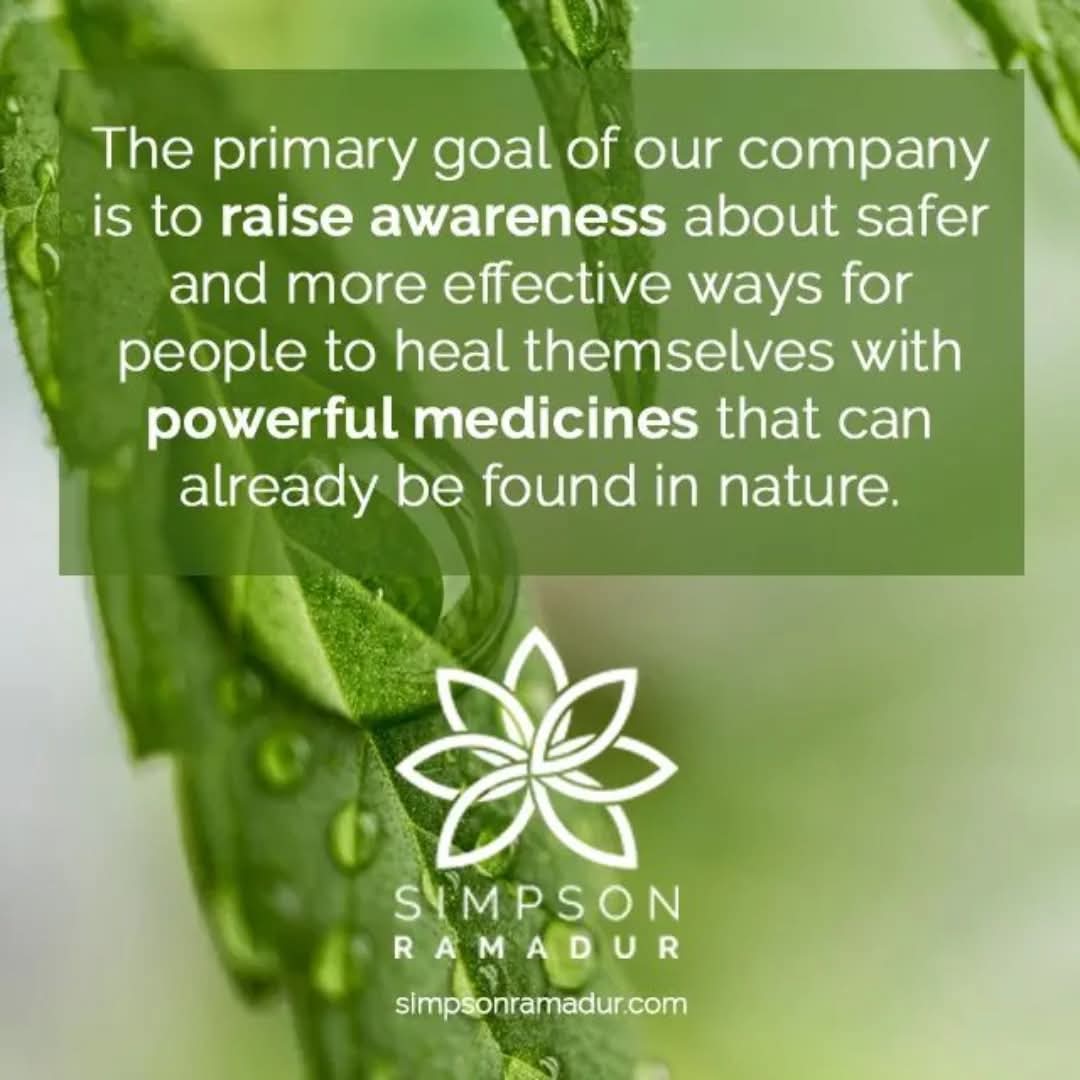 Simpson_Rick's tweet image. Rick and Danijela Simpson founded the @SimpsonRamaDur publishing company in 2016 with the aim to raise awareness about the healing properties of this amazing plant and of its potent extract - RSO. 🌿
The company published Rick Simpson's two books and is now preparing a third…