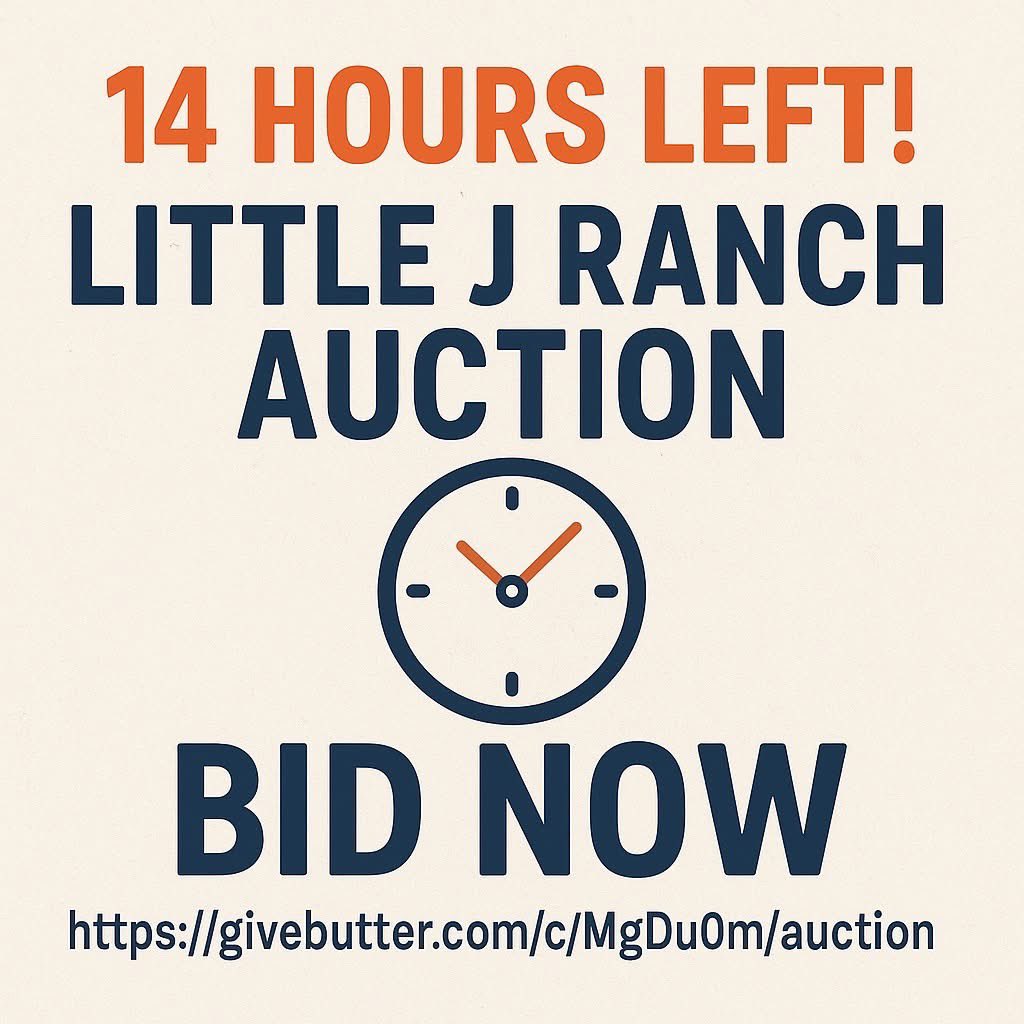 LittleJRanch's tweet photo. ⏰ Only 14 HOURS LEFT to bid!

The clock is ticking on the Little J Ranch Auction—don’t miss your chance to snag something amazing while supporting rescued animals! 🐐💚

🛍️ Beautiful items, including high-quality Native American jewelry
🎯 Some items have reserves—place your best bid now!
🔗 https://t.co/m0m4E9u8Zs

Let’s finish strong for the animals of Little J Ranch!
#LittleJRanch #AuctionCountdown #BidNow #FarmSanctuary #SupportTheAnimals #LastCallToBid