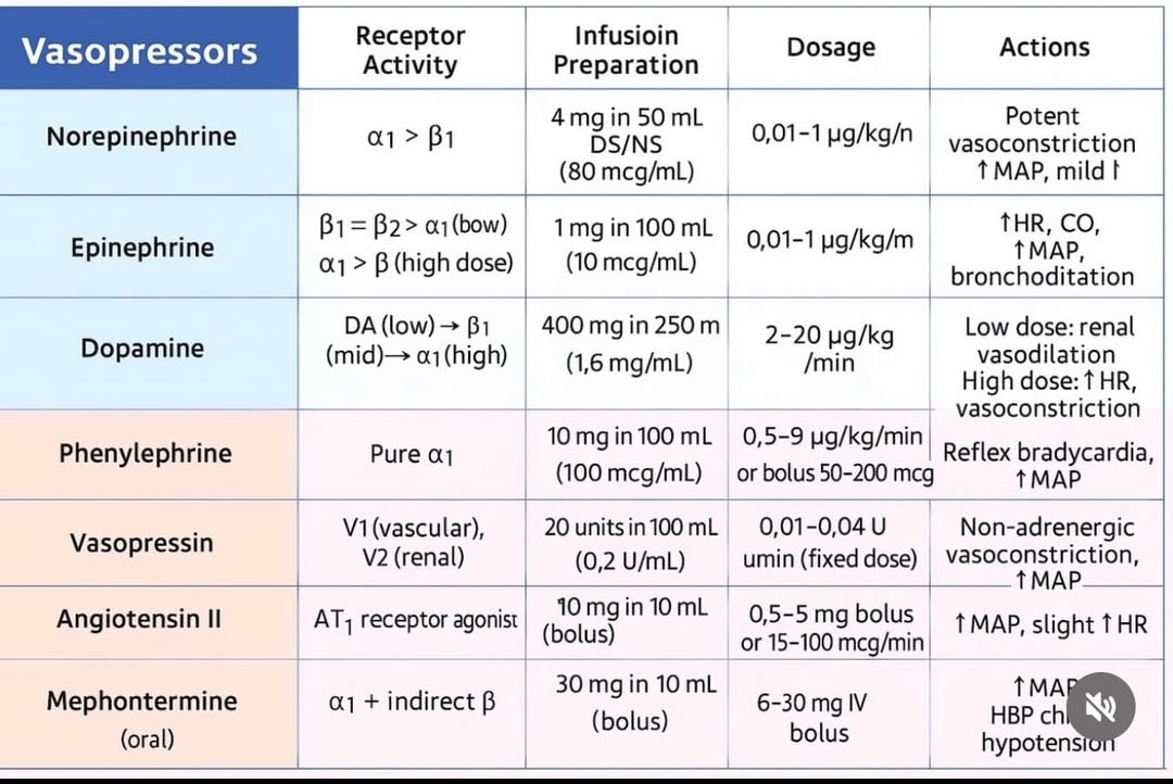 ZHeart11768530's tweet photo. 🔴Vasopressors 💊⤵️🔹

 #Cardiology #FOAMed #MedEd #medstudent #paramedic #Cardiology #CardioEd #medtwitter #meded #CardioTwitter #cardiotwiteros  #MedX #cardiovascular #MedTwitter #medical #medEd #cardiotwitter #medicineball https://t.co/bappIYUTzh